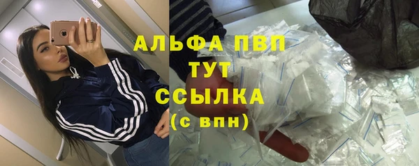 прущий лед Вяземский