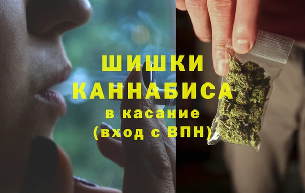 прущий лед Вяземский