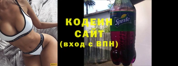 прущий лед Вяземский
