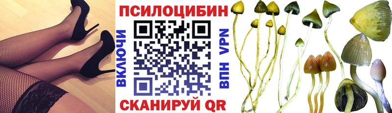 Псилоцибиновые грибы прущие грибы Кулебаки